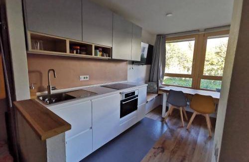 Marilleva 900 Apartment | 40 m² Apartment ∙ 1 bedroom ∙ 4 guests