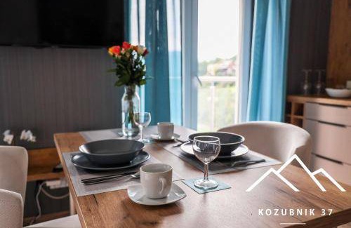 Porabka Apartment | 40 m² Apartment ∙ 1 bedroom ∙ 4 guests