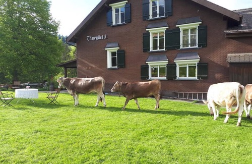 Wildhaus Apartment | 40 m² Apartment ∙ 4 guests