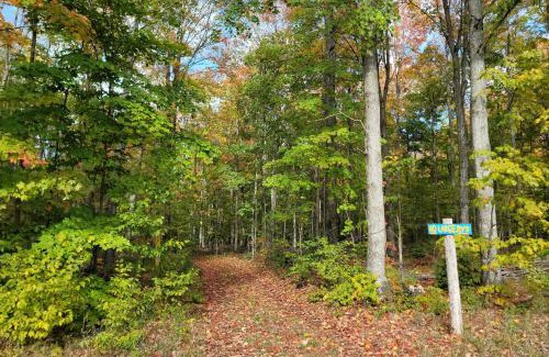 Coldsprings Township House | 400-Acre Outdoor Enthusiasts Lodge in Mancelona!