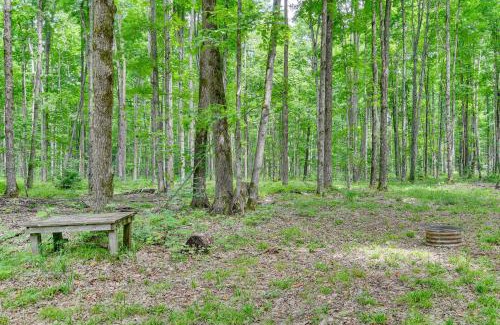 Coldsprings Township House | 400-Acre Outdoor Enthusiasts Lodge in Mancelona!