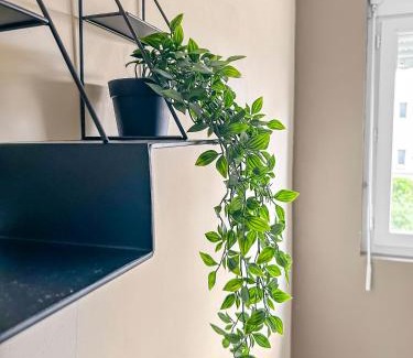 Saint-Brieuc Apartment | 405- saint brieuc