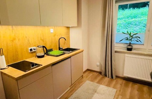 Porabka Apartment | 41 m² Apartment ∙ 1 bedroom ∙ 4 guests