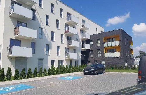 Tychy Apartment | 41 m² Apartment ∙ 1 bedroom ∙ 4 guests