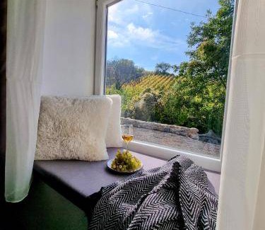 Somloszolos Apartment | 45 m² Apartment ∙ 2 bedrooms ∙ 4 guests