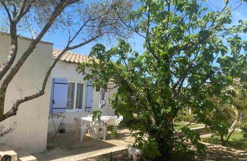 Bollene House | 45 m² House ∙ 1 bedroom ∙ 4 guests