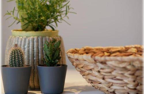 Mitte Apartment | 46 m² Apartment ∙ 1 bedroom ∙ 4 guests