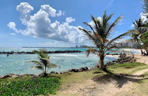 Punta Las Marias Apartment | 46 m² Apartment ∙ 1 bedroom ∙ 3 guests