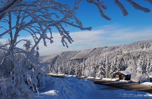 Loucna nad Desnou Apartment | 47 m² Apartment ∙ 2 bedrooms ∙ 6 guests