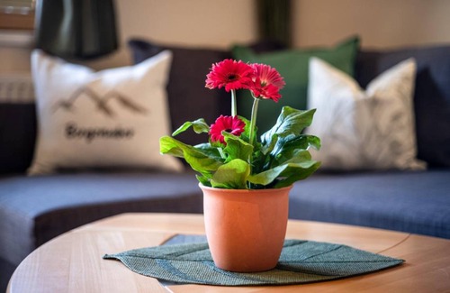 Maurach Apartment | 48 m² Apartment ∙ 1 bedroom ∙ 4 guests