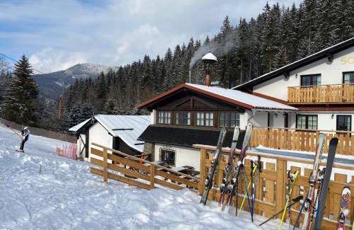 Spital am Semmering Hotel | 48 m² Hotel ∙ 6 guests