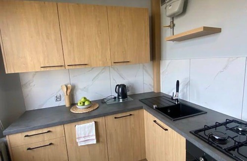 Katowice Apartment | 49 m² Apartment ∙ 1 bedroom ∙ 2 guests