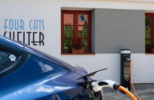 Cak Apartment | 4Catsshelter