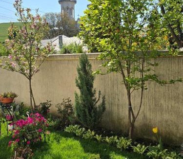 Piatra Neamt Apartment | 4Rest Apartment