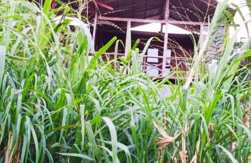 Kumbalwela House | 4s Heaven