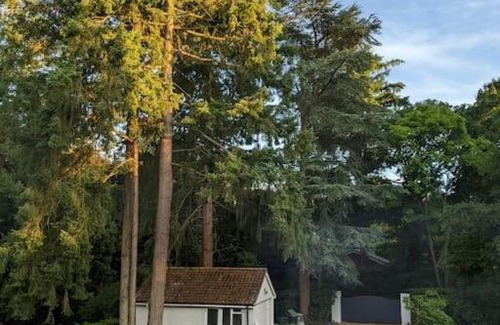Ferndown House | 5 bed family home set within gorgeous grounds