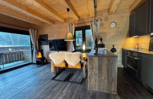 Hahnenklee House | 5 * log cabins with sauna, fireplace, terrace, barbecue etc. in alpine chalet style