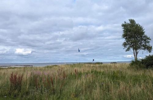 Vejlby Fed House | 5 person holiday home in Middelfart