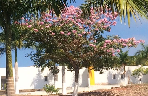 Santa Cruz Villa | #5 Shared Pool, 3 Bedroom/3 Bathroom, Private beach ramada WIFI SKY