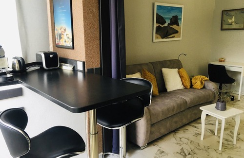 Cannes City Centre Apartment | 50 m Croisette, with parking studio, functional, classified furnished tourism 3*.