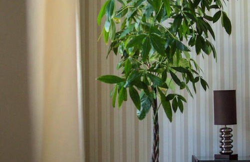 Palace District Apartment | 50 m² Apartment ∙ 1 bedroom ∙ 2 guests