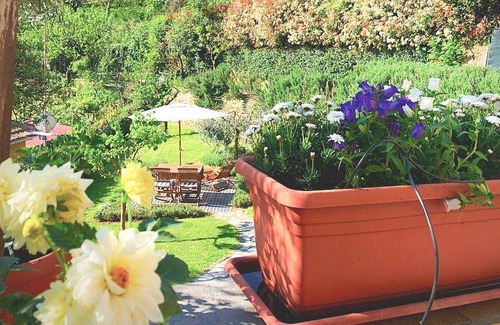 La Foce Apartment | 50 m² Apartment ∙ 1 bedroom ∙ 2 guests