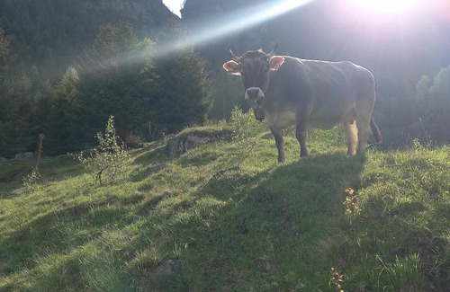 Sankt Leonhard im Pitztal Apartment | 50 m² Apartment ∙ 2 bedrooms ∙ 8 guests