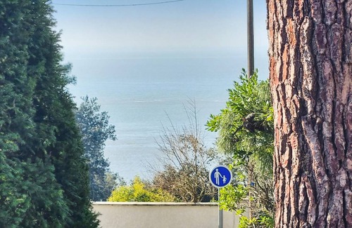 Meschers-sur-Gironde House | 50 m² House ∙ 2 bedrooms ∙ 5 guests