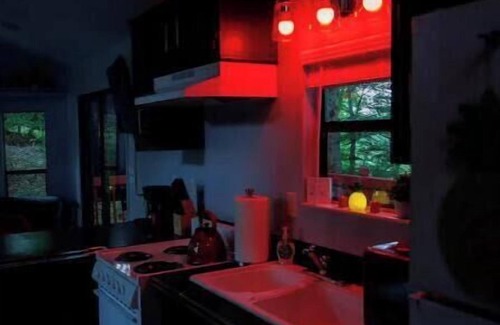 Lobelville Cabin | 50 Shaydes of Play