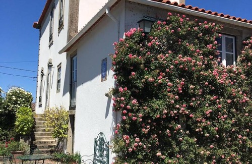 Afife House | 500 m² House ∙ 4 bedrooms ∙ 7 guests