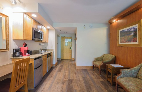 Crested Butte Condo | 515 π Slopeside Condo in Mt. Crested Butte