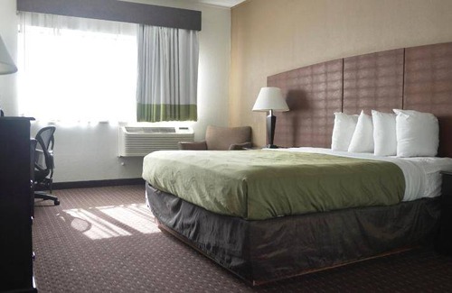 Waterford Hotel | 52 m² Hotel ∙ 4 guests