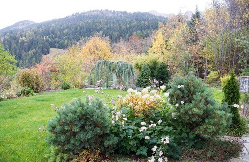 Churwalden Apartment | 53 m² Apartment ∙ 2 bedrooms ∙ 2 guests