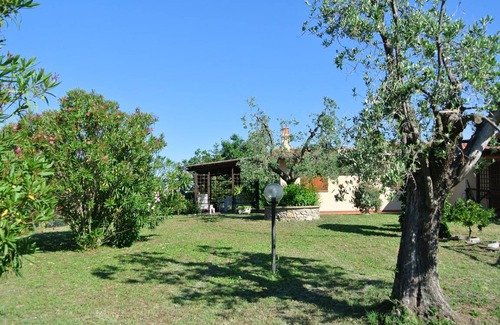 Donoratico Apartment | 55 m² Apartment ∙ 2 bedrooms ∙ 4 guests