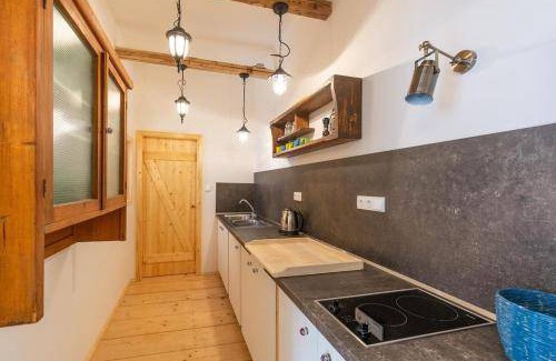 Ceske Budejovice Apartment | 55 m² Apartment ∙ 1 bedroom ∙ 4 guests