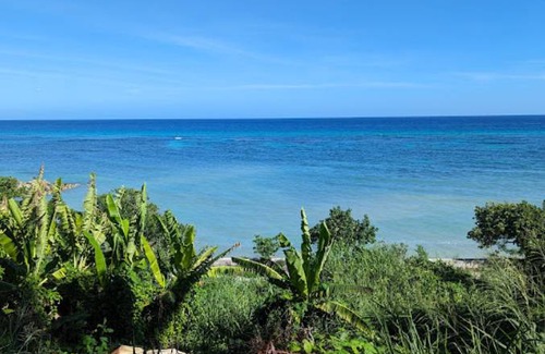 Montego Bay Apartment | 55 m² Apartment ∙ 1 bedroom ∙ 3 guests