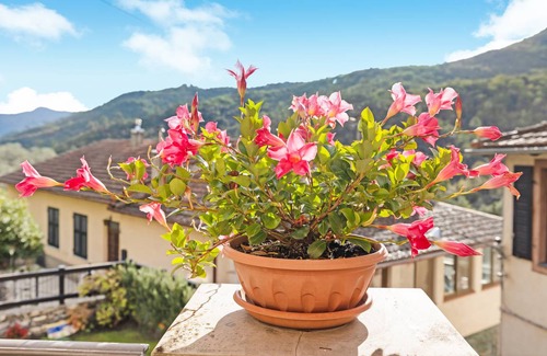 Cardoni Apartment | 55 m² Apartment ∙ 2 bedrooms ∙ 5 guests