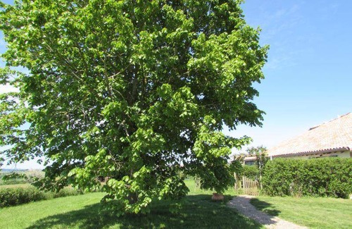 Lacapelle-Segalar House | 55 m² House ∙ 1 bedroom ∙ 2 guests