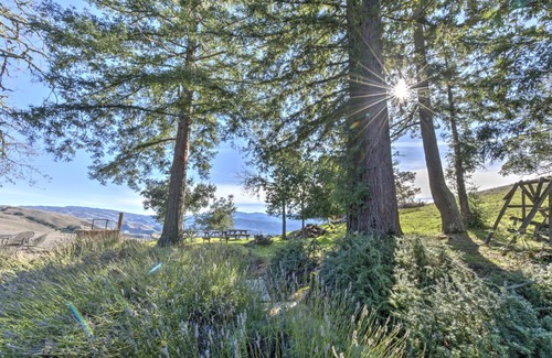 Northwest Carmel Cabin | 557 m² Lodge ∙ 4 bedrooms ∙ 18 guests