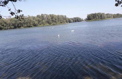 Vaulx En Velin Village Apartment | 59 m² Apartment ∙ 2 bedrooms ∙ 5 guests
