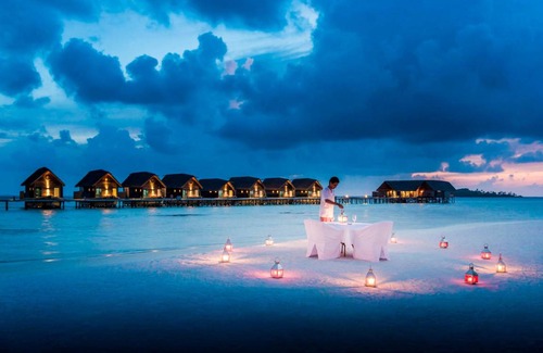 Cocoa Island Resort | 590 m² Resort ∙ 3 bedrooms ∙ 127 guests