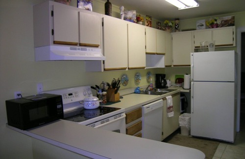 Pelican Condo | 6 months renal discount. Sunshine, Quiet, Pristine, Romantic 1/1 Condo