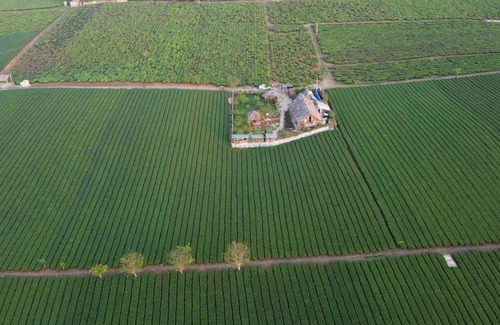 Son La House | 60 m² Bungalow ∙ 6 bedrooms ∙ 2 guests