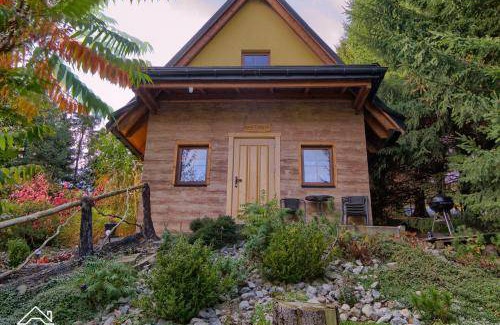Zakopane Ski Chalet | 60 m² Chalet ∙ 2 bedrooms ∙ 5 guests