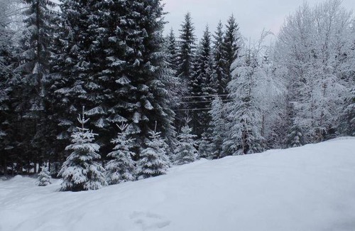 Hurdal Municipality House | 62 m² House ∙ 2 bedrooms ∙ 6 guests