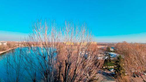 Milano San Felice Apartment | 65 m² Apartment ∙ 1 bedroom ∙ 4 guests
