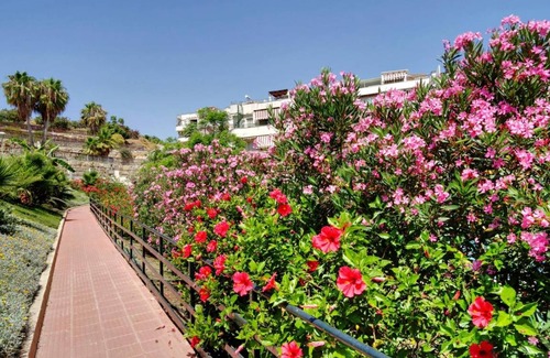 Benagalbon Apartment | 65 m² Apartment ∙ 2 bedrooms ∙ 4 guests