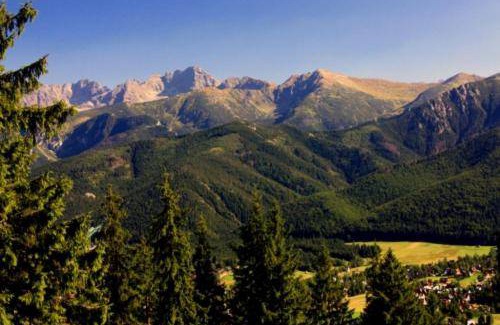Koscielisko Cabin | 65 m² Lodge ∙ 3 bedrooms ∙ 6 guests