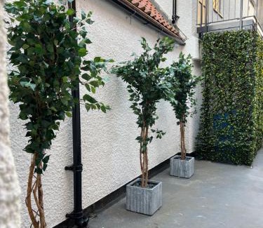 Worksop Apartment | 7 Plants Yard
