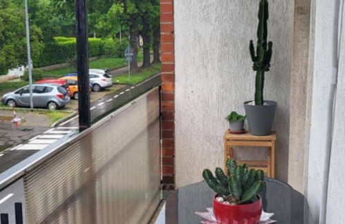 Garbagnate Milanese Apartment | 70 m² Apartment ∙ 1 bedroom ∙ 3 guests